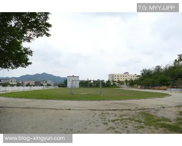 飞鹤足球助力青少年成长打造健康快乐的足球文化与未来之路